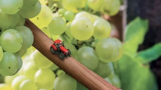 Végétal - ISTAV FORMATION