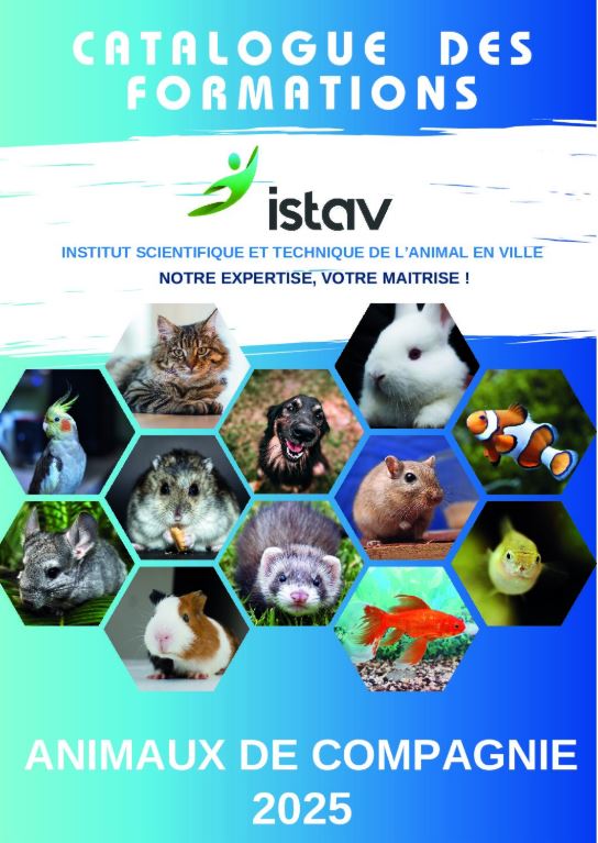ACACED - TAV - CCCC - ISTAV FORMATION