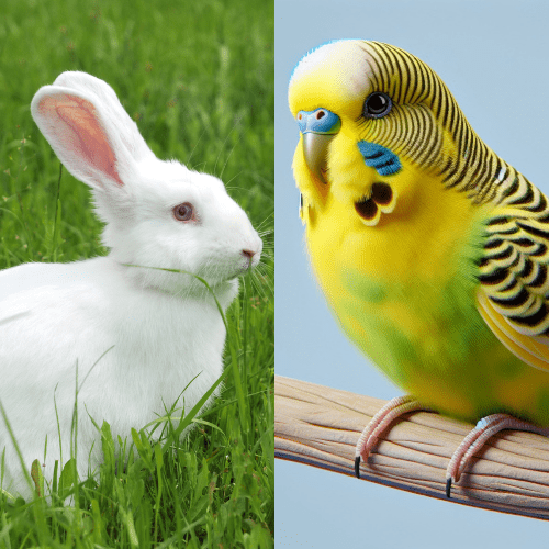 Transport des animaux vivants - ISTAV FORMATION