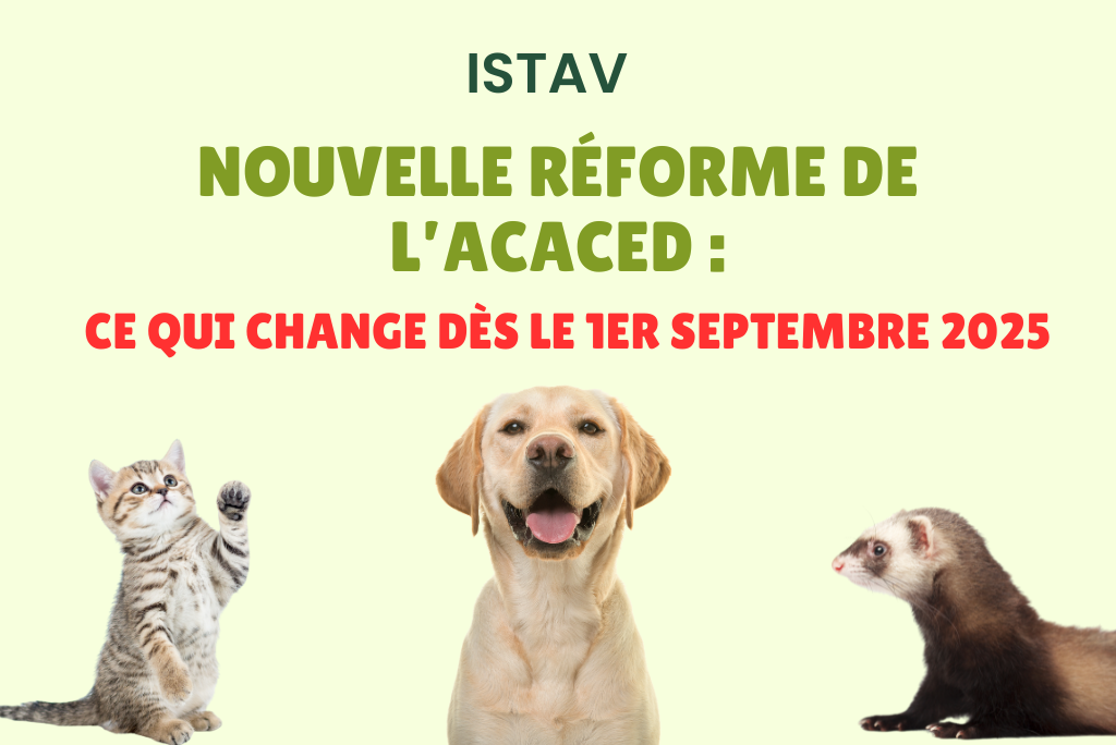 Nouvelle réforme de l’ACACED