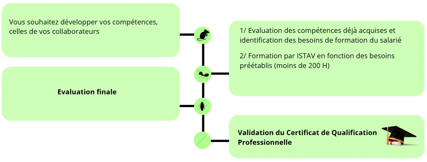 CQP Technicien en Maîtrise du Risque Nuisible - ISTAV FORMATION